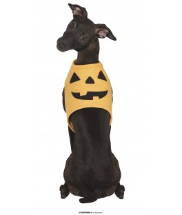 Costumes citrouille chien