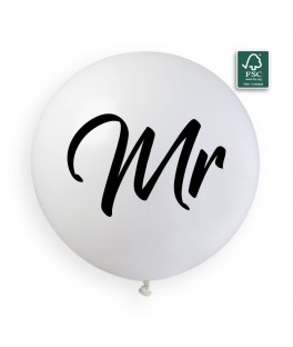Ballon Mr 80cm x10