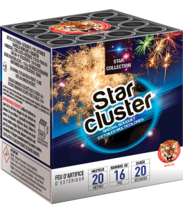 Star cluster 16 coups