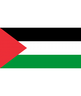 Drapeau Palestine 150 X...