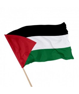 Drapeau à main Palestine...