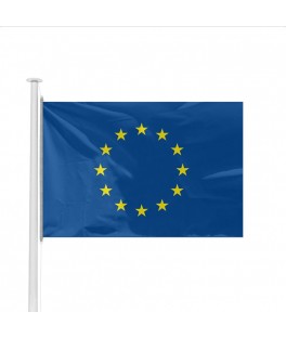 Petit drapeau Europe (14 x...