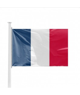 Petit drapeau France (14 x...