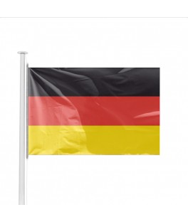 Petit drapeau Allemagne (14...