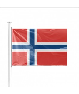 Petit drapeau Norvège (14 x...