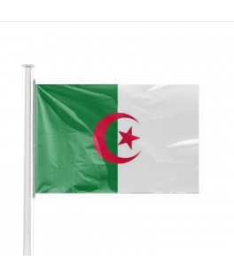 Petit drapeau Algérie (14 x...