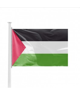 Petit drapeau Palestine (14...