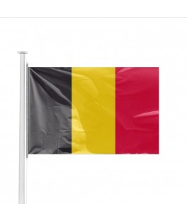 Petit drapeau Belgique (14...