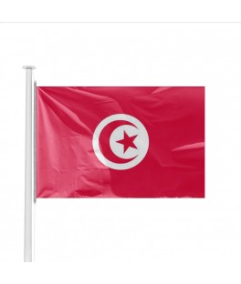 Petit drapeau Tunisie (14 x...