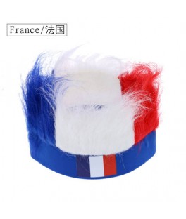 Supporter fan wig France