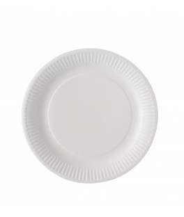 Assiette blanche x 100...