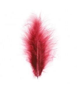 5 PLUMES BORDEAUX 10-15CM