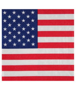 Serviette USA x20