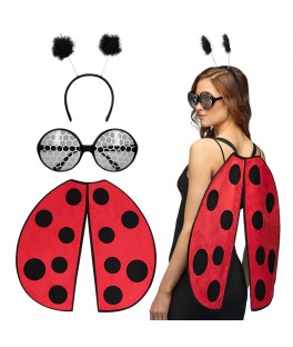 Kit Ladybug