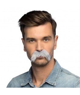 Moustache grise