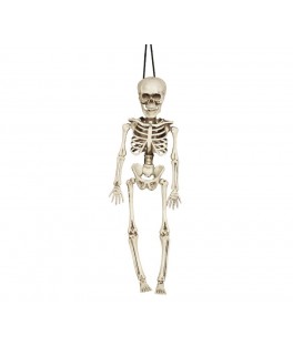 Squelette 40cm