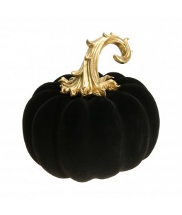 citrouille floquée noire