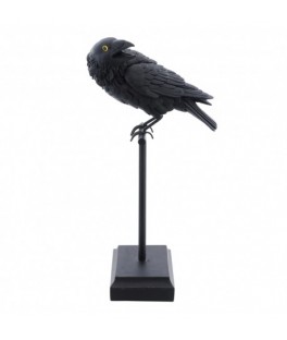 corbeau noir sur support
