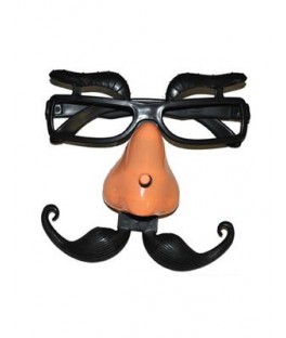 lunettes nez moustache