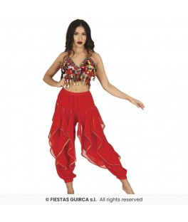 Pantalons danse du ventre...