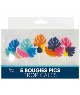 Bougies pics tropical
