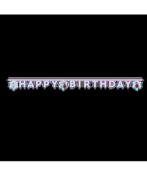 Guirlande h.birthday  Reine Des Neiges