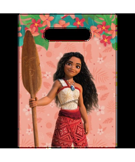 Guirlande h.birthday Vaiana