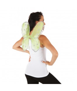 Ailes de papillon vert