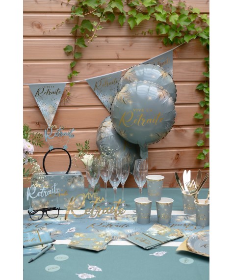 Ballon retraite sauge x6