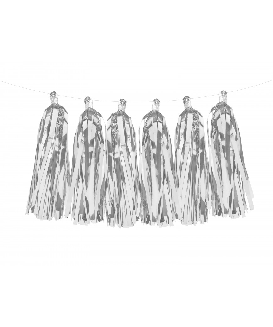 Guirlande tassel argentee