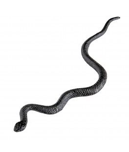 12 serpents 13 cms