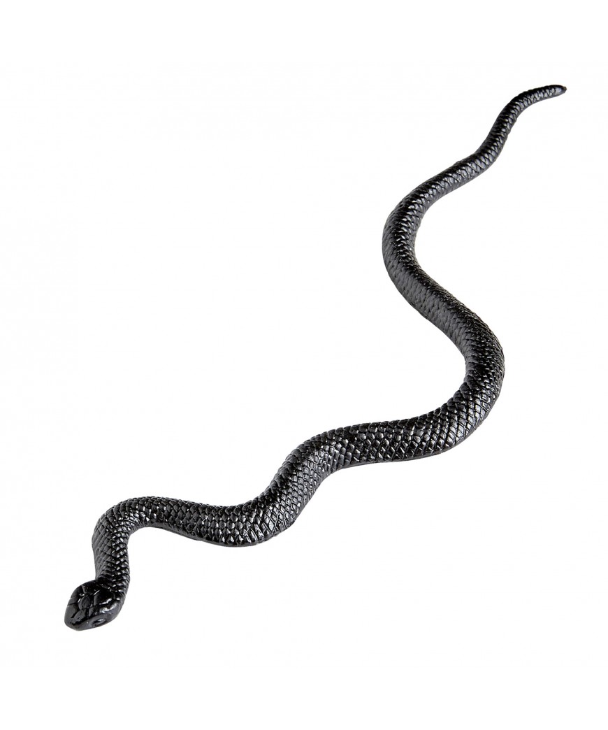 12 serpents 13 cms
