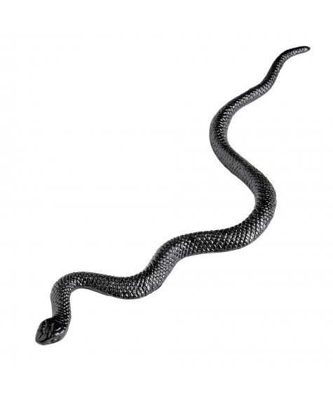 12 serpents 13 cms