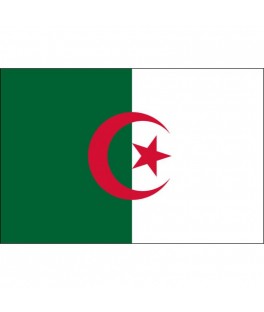 Drapeau X10 Algerie 9.5CMX16CM