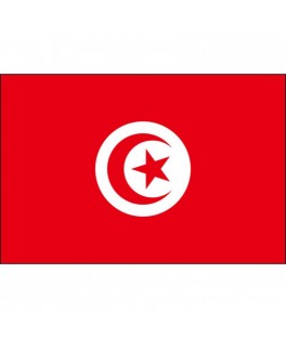 Drapeau X10 Tunisie 9.5CMX16CM
