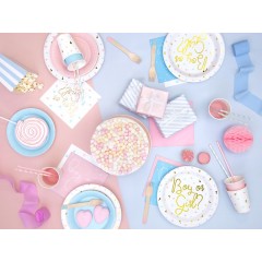 Gender Reveal