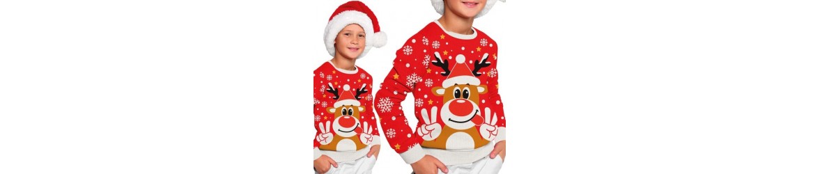 Pulls de Noël